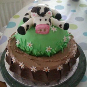 comical cow cake 2 tiers bottom one chocolate butter cream with shocolate snap and mini daisy design, top tier green fondant with grass and daisies topped with a funny black and white cow