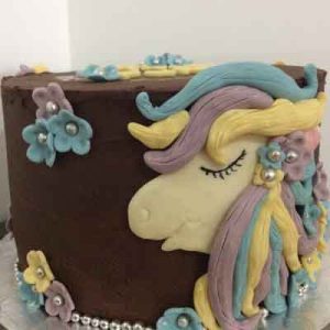 chocolate coated cake with pastel coloured pony design on the side with flower and silver ball detail