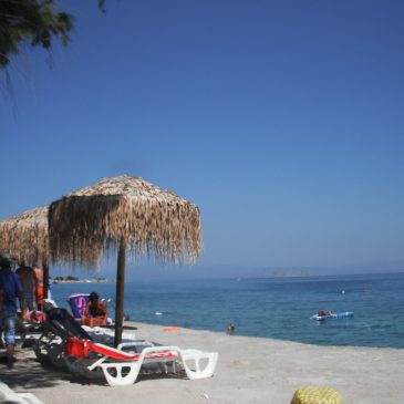 Wedding Season is Upon Us