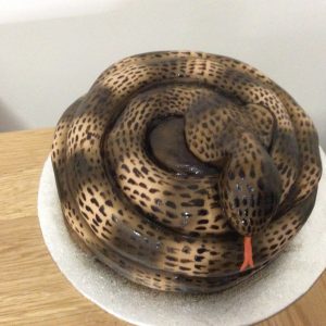 Snake cake £40